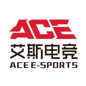 艾斯电竞 广东 教育科技