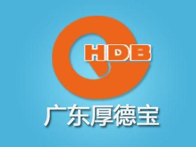 广东厚德宝网络科技