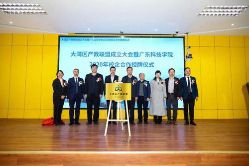 大湾区产教联盟服务项目介绍